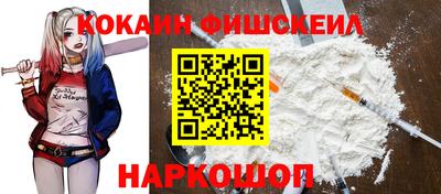 крисы Кингисепп