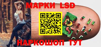 крисы Кингисепп