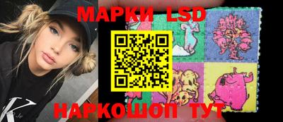 гашик Кимры