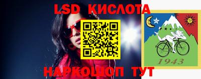 крисы Кингисепп