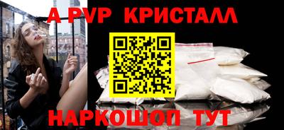 крисы Кингисепп