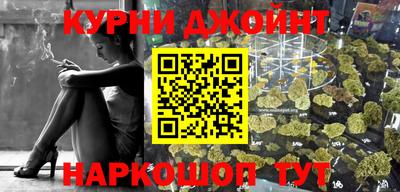 крисы Кингисепп