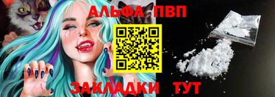 крисы Кингисепп