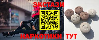 крисы Кингисепп