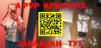 крисы Кингисепп