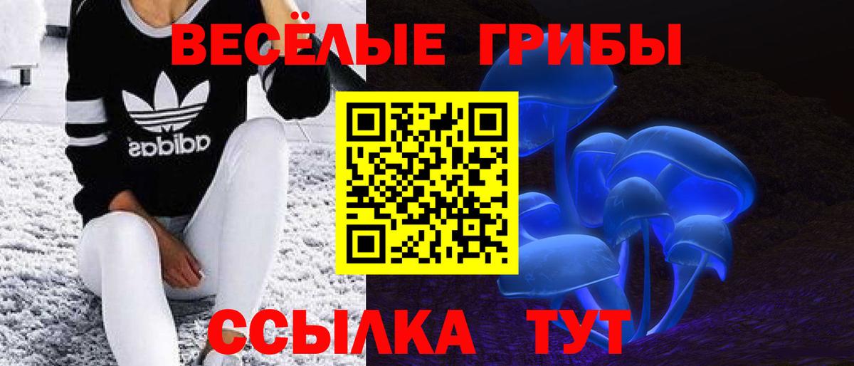 Дубна  Галлюциногенные грибы прущие грибы  Вход с VPN 