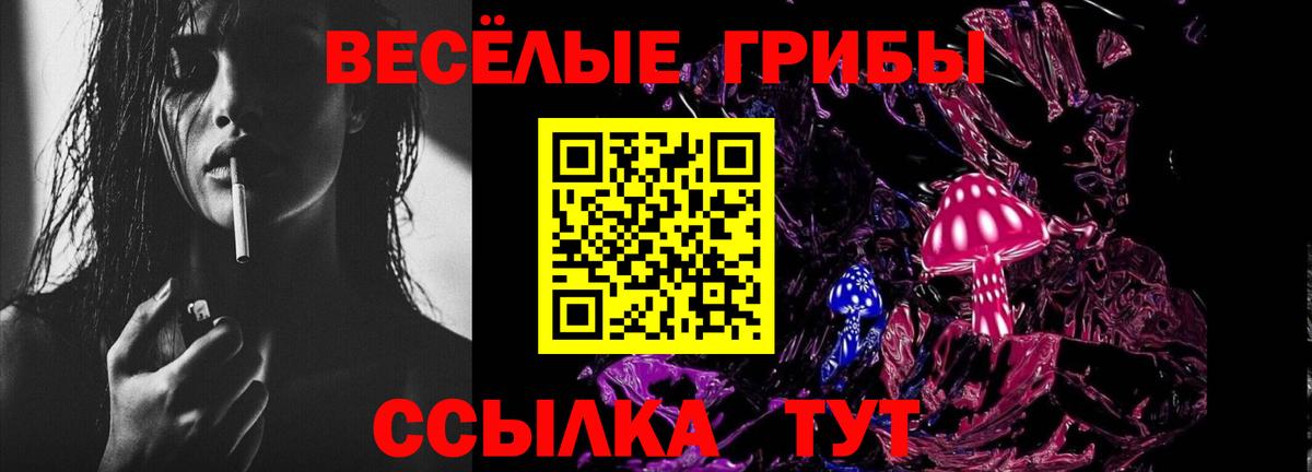 Галлюциногенные грибы прущие грибы Дубна